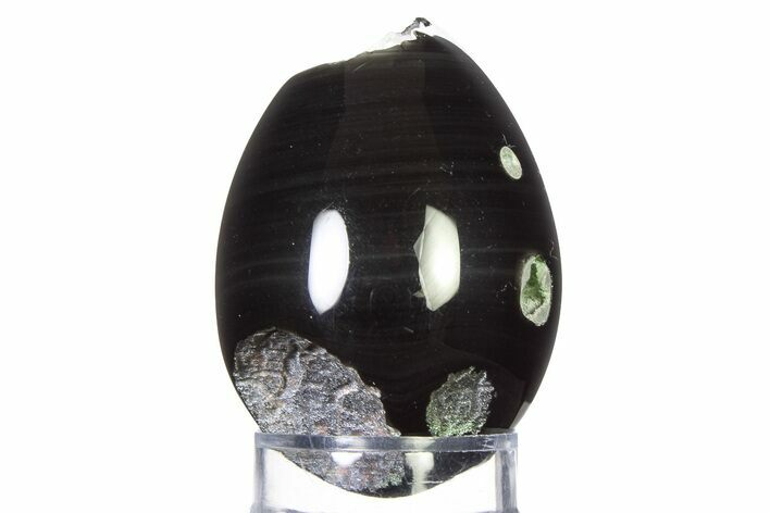 Polished Orthoclase Obsidian Egg - Mexico #322354